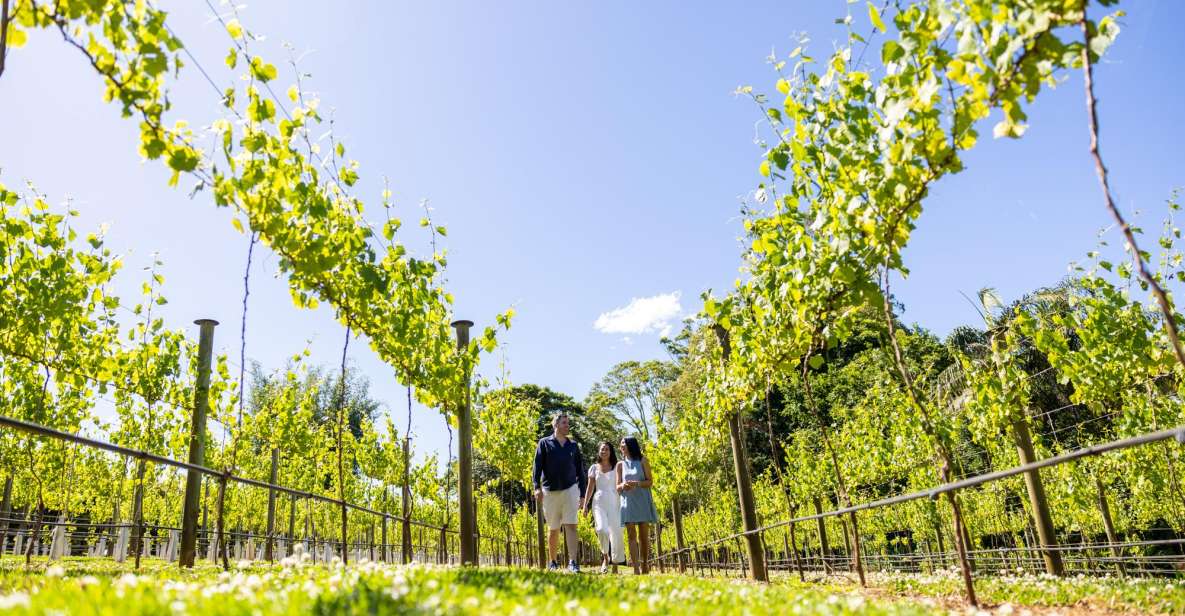 Gold Coast: Winery Tour With Tastings and 2-Course Lunch