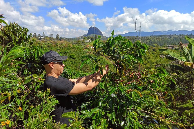 Guatapé & Coffee Farm, All in One Day