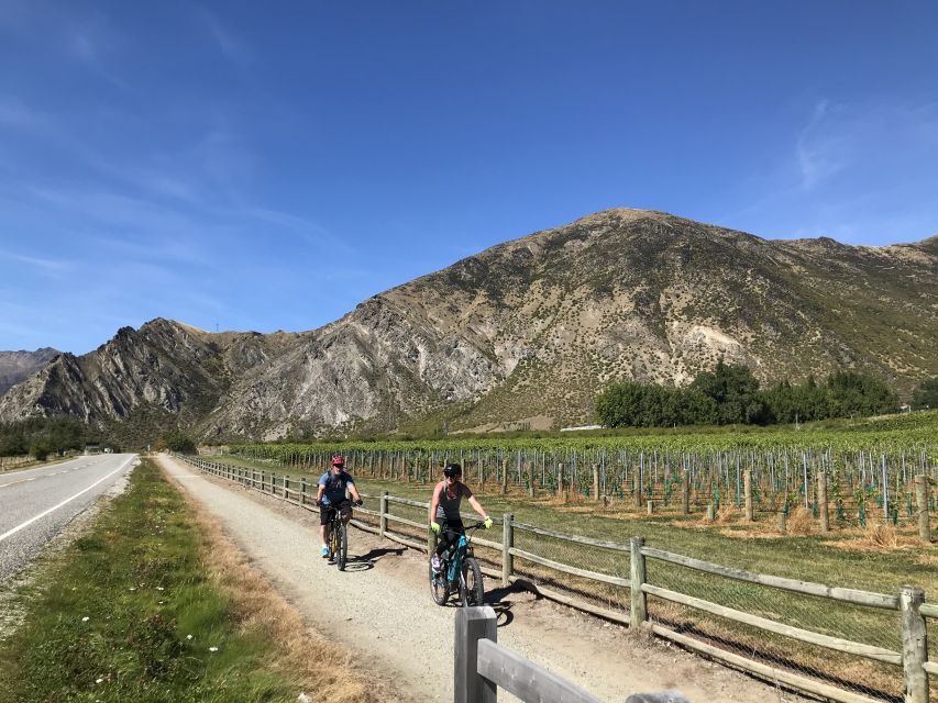 Guided E-Bike Wine Tour Ride to the Vines