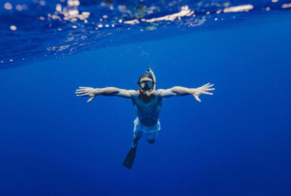 Guided Snorkeling in Ortigia