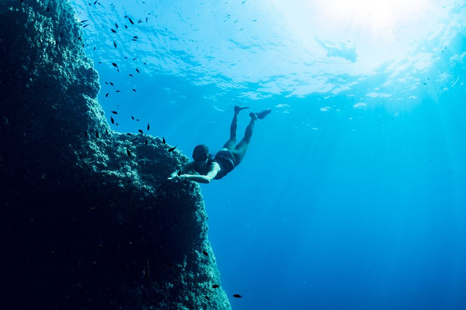 Guided Snorkelling With a Marine Biologist From Sorrento