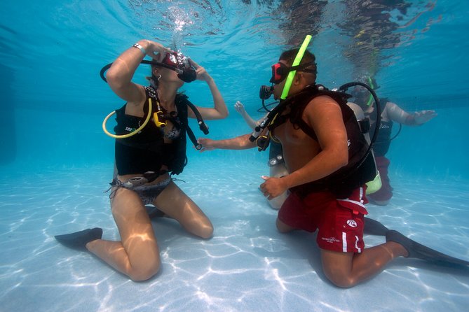 Half-Day Aruba Intro Diving Course for Beginners