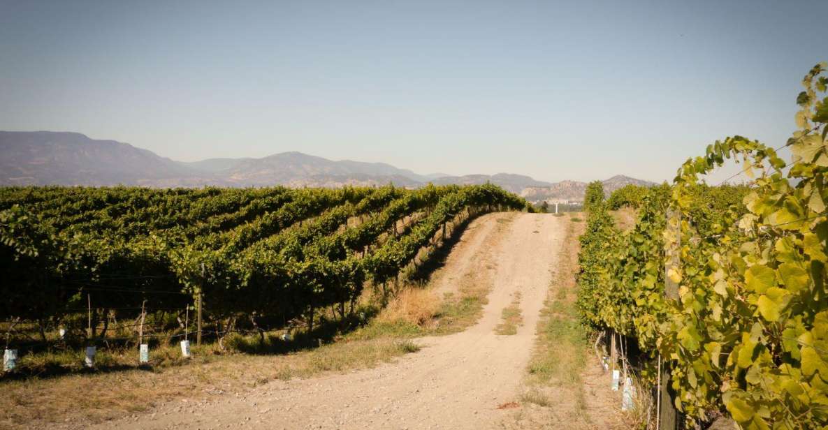 Half-Day East Kelowna Wine Tour