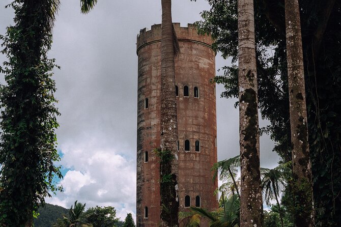 Half-Day El Yunque National Forest Tour From San Juan