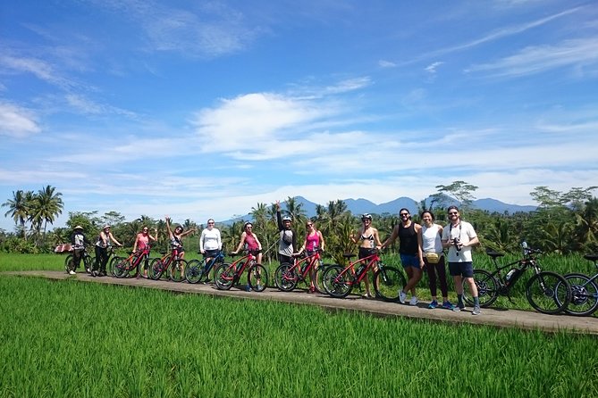 Half-Day Electric Cycling Tour of Ubud