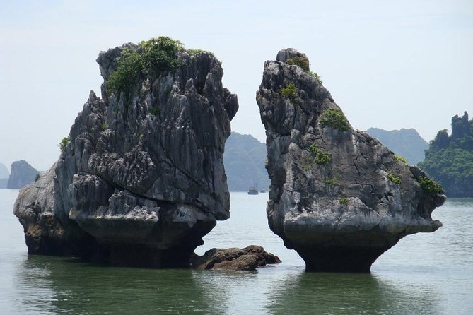 Half Day Explore Halong Bay With Lunch, Sung Sot Cave, Titop Island and Kayaking