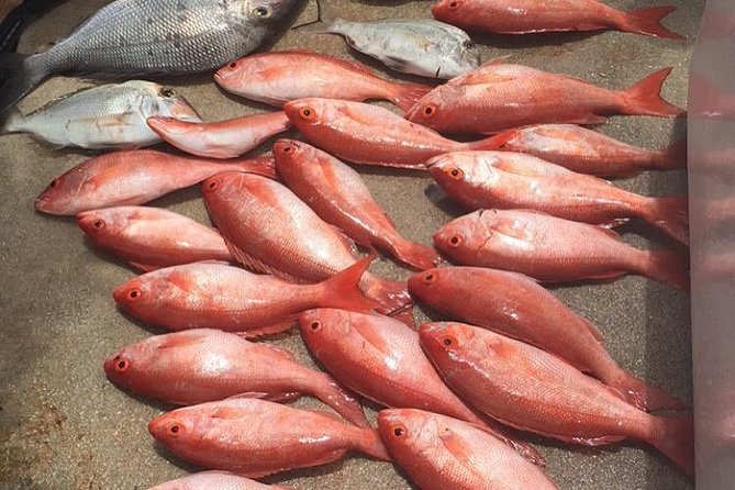 Half-Day Fishing Trip in Fort Lauderdale