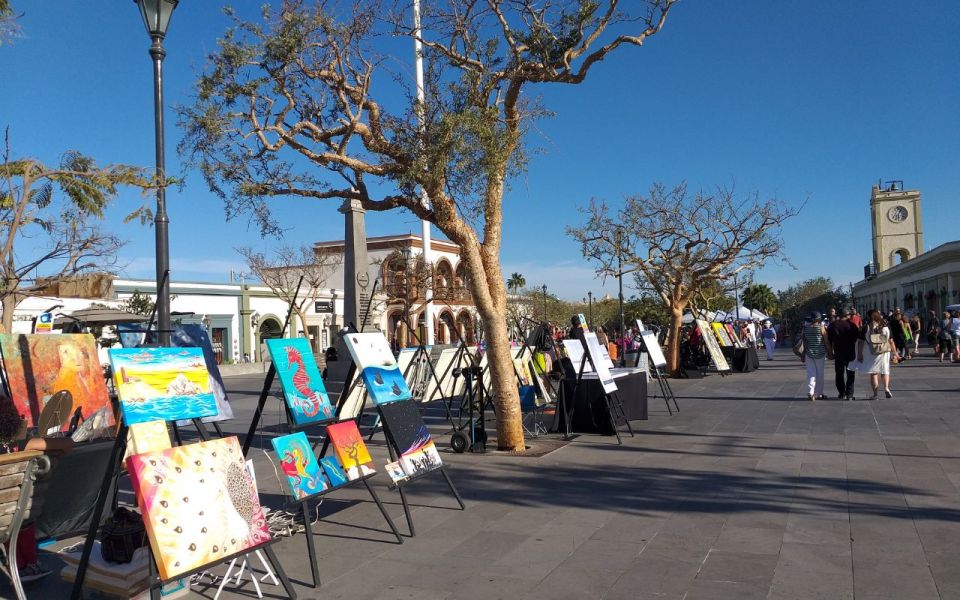 Half-Day Guided Tour San José Del Cabo: Art & Beer Tasting