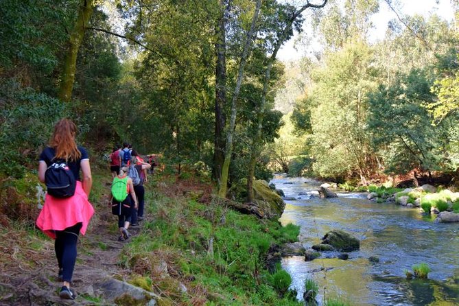 Half Day Hike & Picnic 2.0 With Dog Love in Portos Mountains - Escape to Portos Natural Oasis