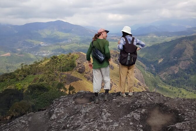 Half Day Hiking In Munnar Trekking Tour