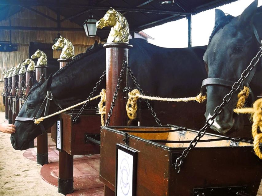 Half-Day Lusitanian Horses & Photography Museum Private Tour