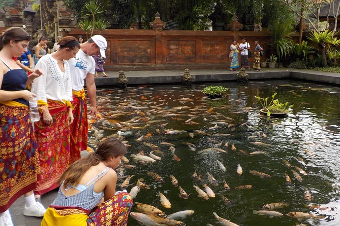 Half-Day Ubud Electric Cycling Tour to Tirta Empul Water Temple - Inclusions and Amenities