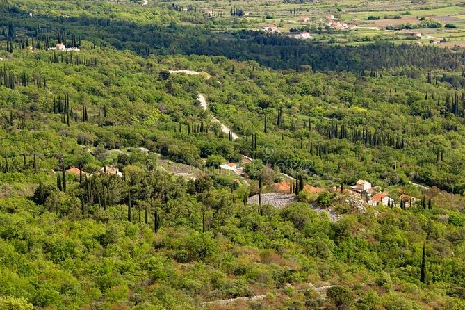 Half-Day Wine and Food Tasting From Dubrovnik