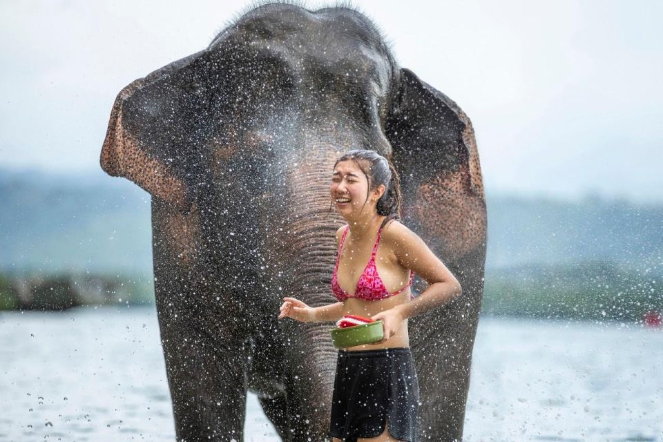 Halfday Program With Elephant on the Beach (3.30hours)