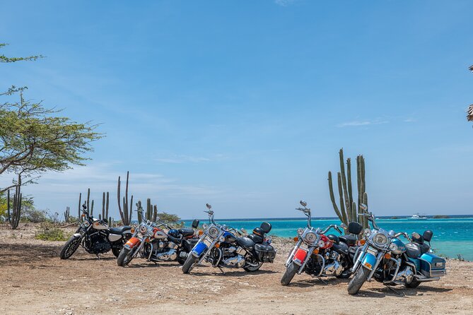Harley-Davidson Guided Island Tours