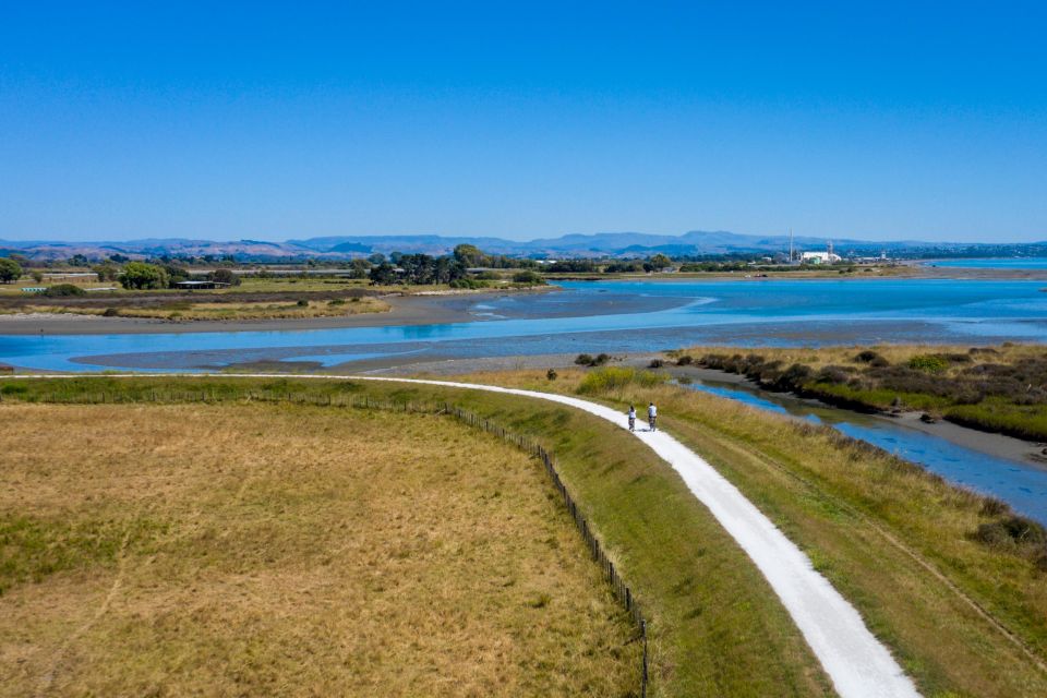 Hawkes Bay: Self Guided Coastal Winery Cycle Tour