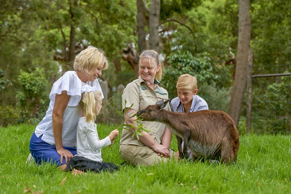 Healesville Sanctuary: General Admission Ticket