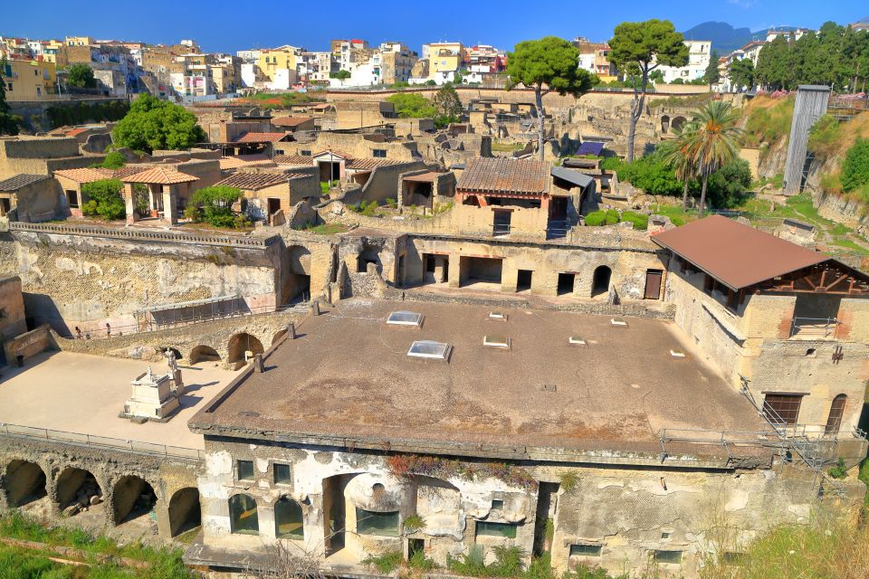 Herculaneum 2-Hour Private Guided Tour