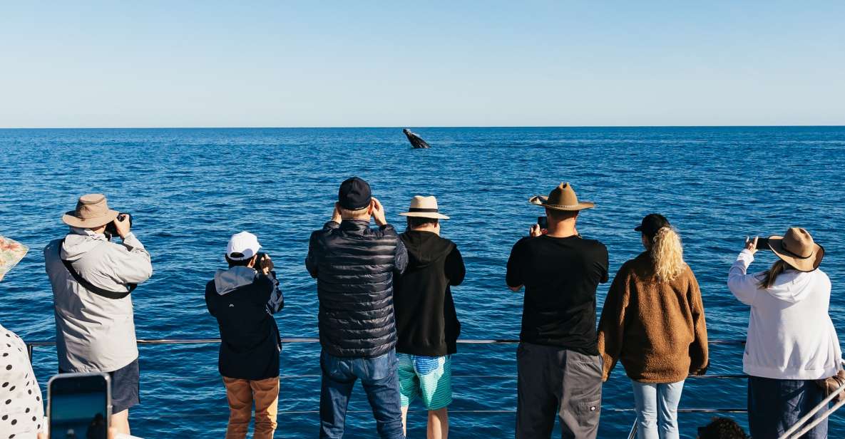 Hervey Bay: Exclusive Whale Watch Encounter - Tour Details