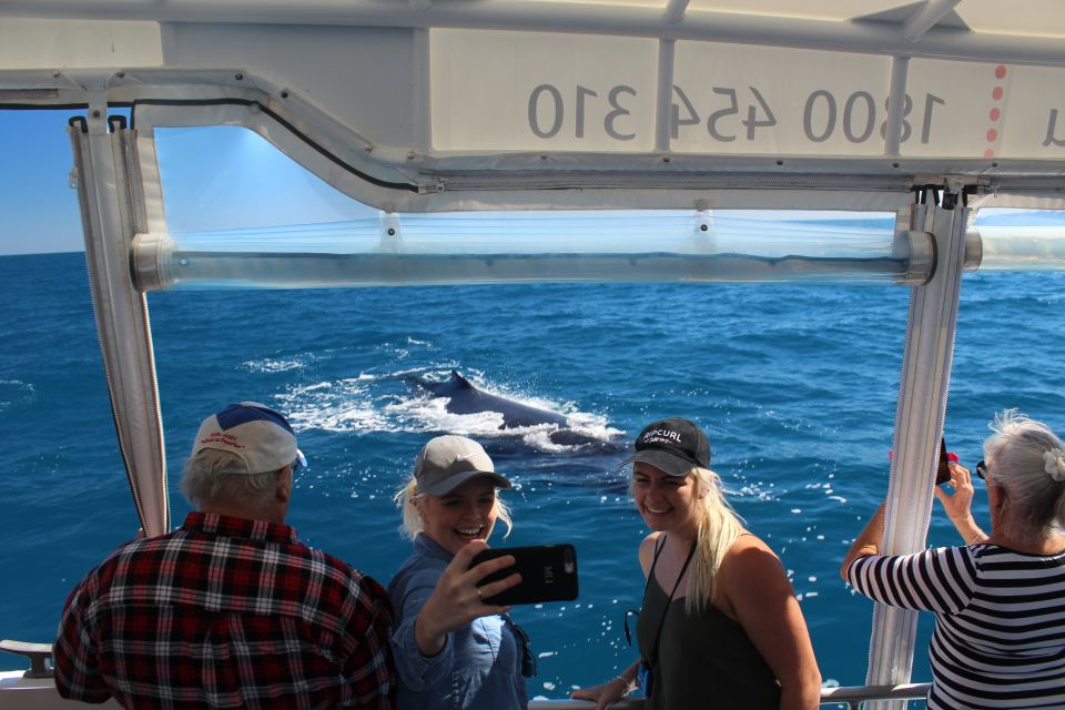 Hervey Bay: Ultimate Whale Watching Experience - Whale Watching Duration and Pricing