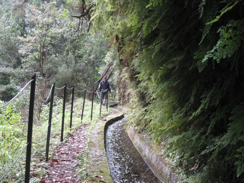 Hidden Corners, the Kings Levada Full Day Hike - Tour Details