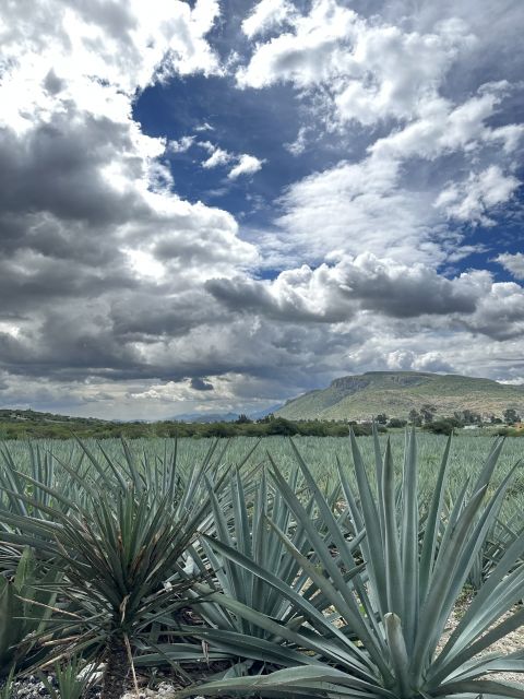 Hierve El Agua, Native Towns and Mezcal Full-Day Tour