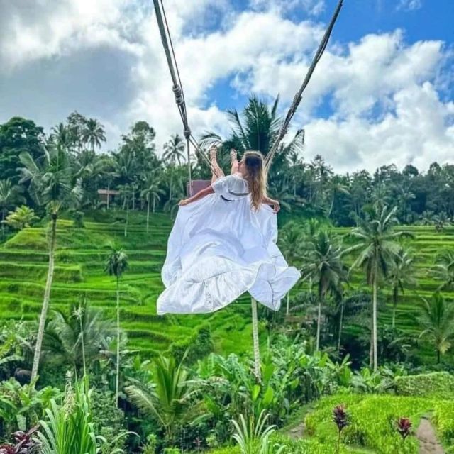 Highlight Ubud Waterfalls And Tegalalang Rice Terrace