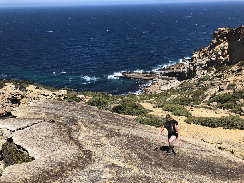 HIKE: Jurassic Dinosaur Trail Walking Tour at Cabo Espichel