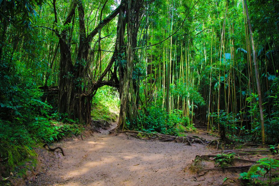 Hike Trail to Waterfall & Nature Walk - Inclusions for the Hike