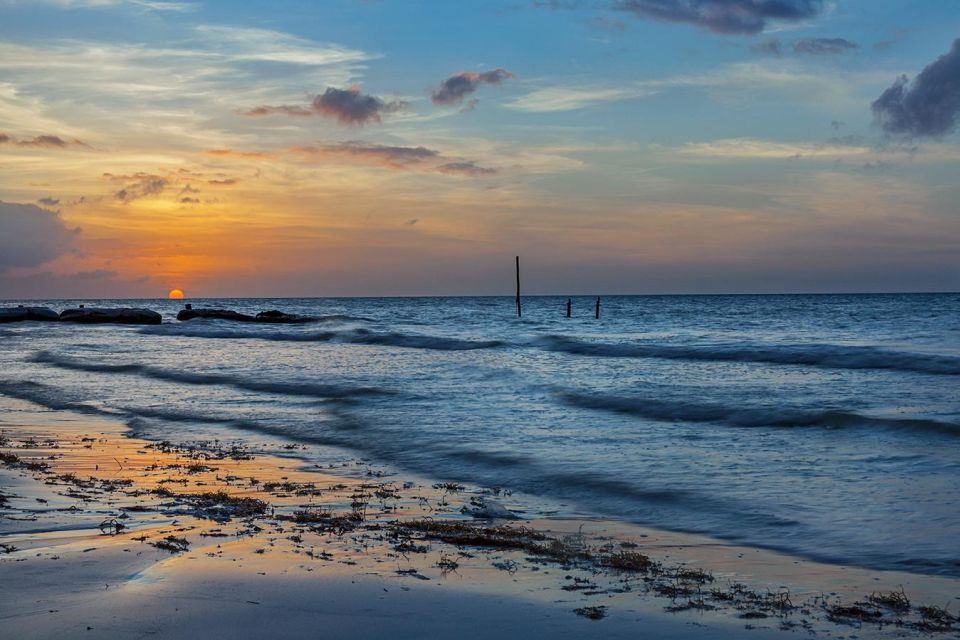 Holbox: Guided Bioluminescence Kayaking Tour