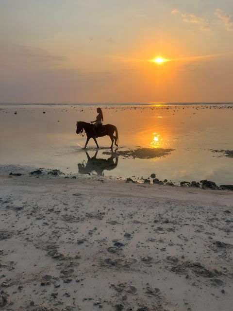 Horse Ride On The Beach on Gili Island