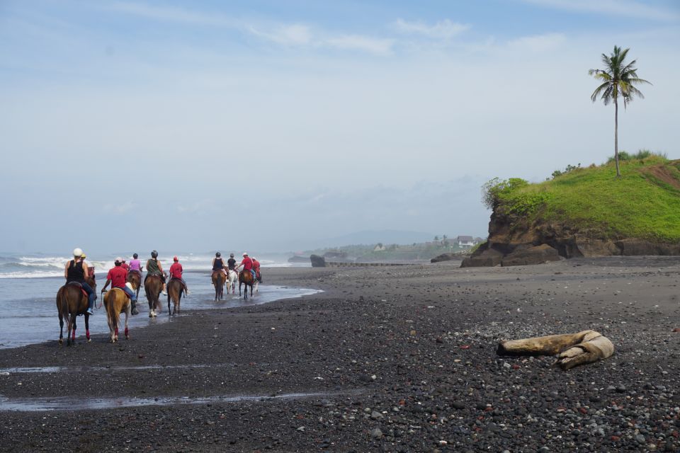 Horse Riding on the Beach and in the Rice Fields