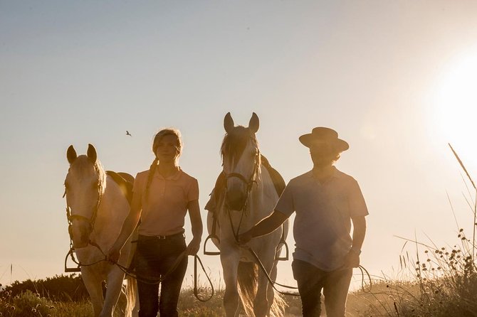 Horse Riding on the Beach - Experience Highlights
