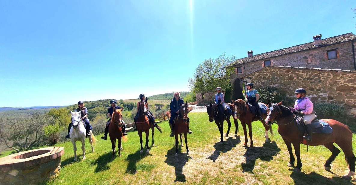 Horseback And Wine Tasting In Tuscan Countryside