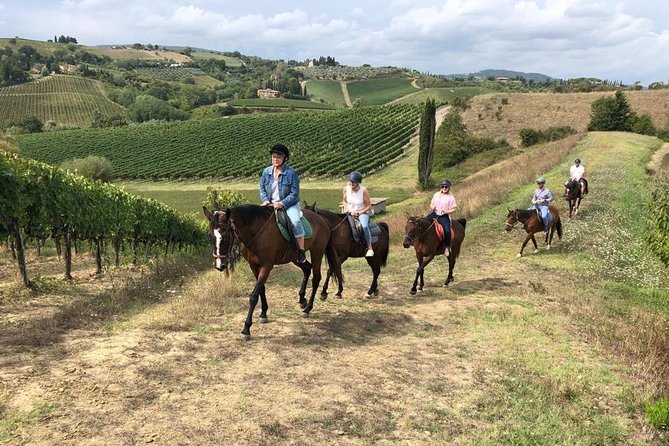 Horseback Ride in S.Gimignano With Tuscan Lunch and Chianti Tasting