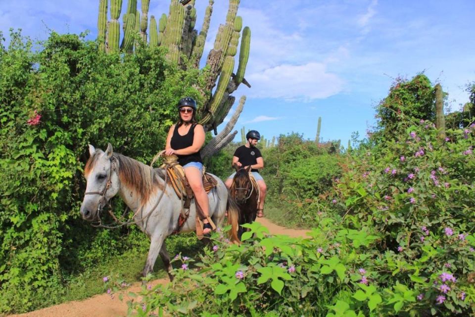 Horseback Riding in Cabo