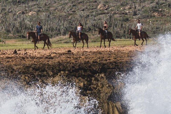 Horseback Riding Wariruri Beach Tour in Aruba