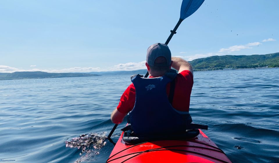 Humber Arm South: Bay of Islands Guided Kayaking Tour - Tour Overview