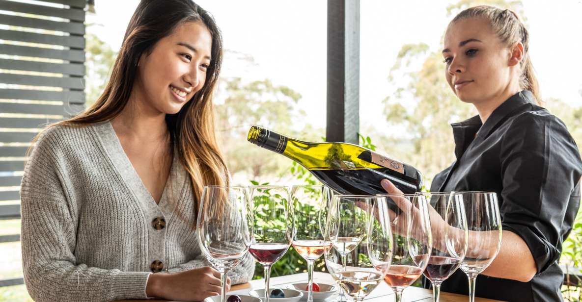 Hunter Valley: Wine and Chocolate Tasting - Experience Premium Hunter Valley Wines