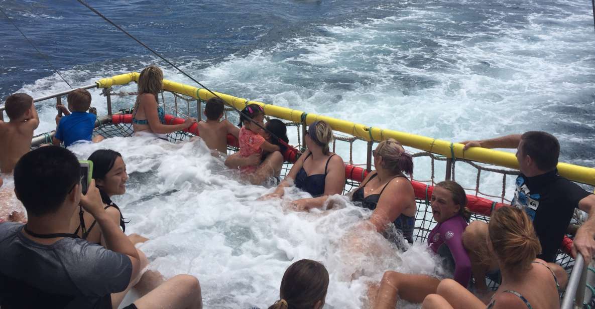 Huskisson: Dolphin Cruise & Boom Netting Experience
