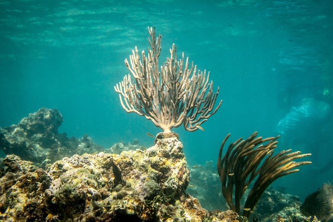 Icacos Deserted Island Catamaran, Snorkel, and Picnic Cruise