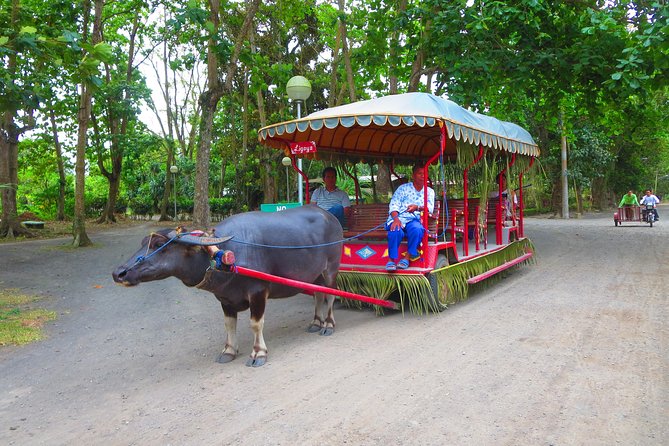 Immerse in Culture: Villa Escudero Coconut Plantation Experience