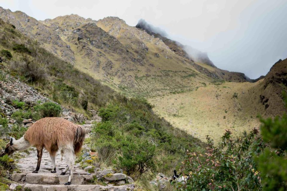 Inca Trail to Machu Picchu (4 Days) - Overview of the Inca Trail Trek