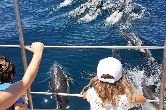 Incredible Dolphin Watching Experience on Our Family Friendly Catamaran – Lagos
