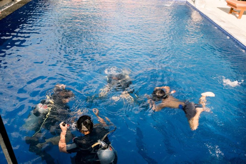 Intro Diving at Swimming Pool