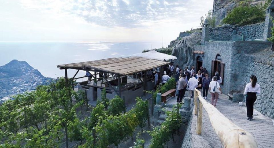 Ischia: Vineyard Tour & Wine Tasting Experience W/ Transfers