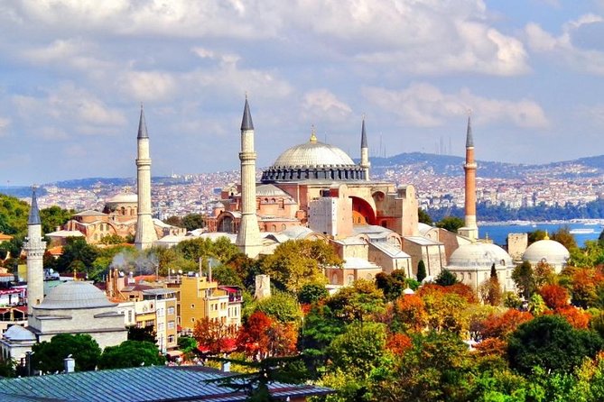 Istanbul Shore Excursion: Istanbul in One Day Sightseeing Tour