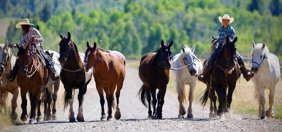 Jackson Hole: Moose Meadow Horseback Tour With Breakfast