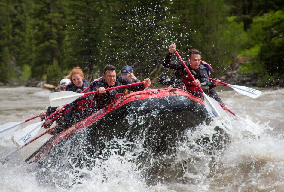 Jackson: Snake River Class 2-3 Whitewater Rafting Adventure