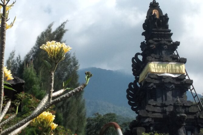 Jakarta Bogor Botanical Garden, Waterfall and Rice Terrace, Lunch - Bogor Botanical Gardens Exploration